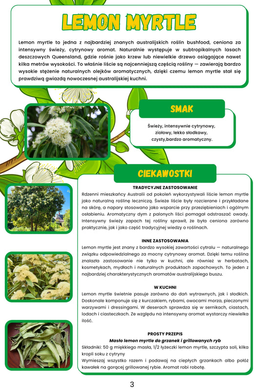 5 PRZYPRAW Z BUSZU (free eBook)