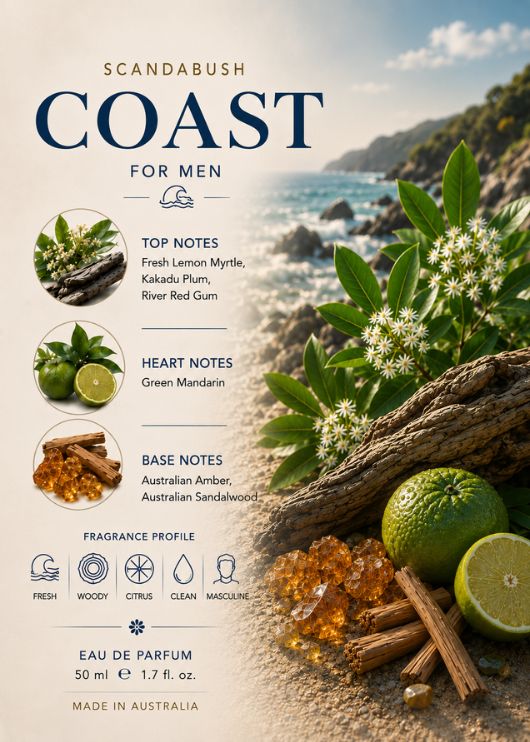 SCANDABUSH COAST (spray on)