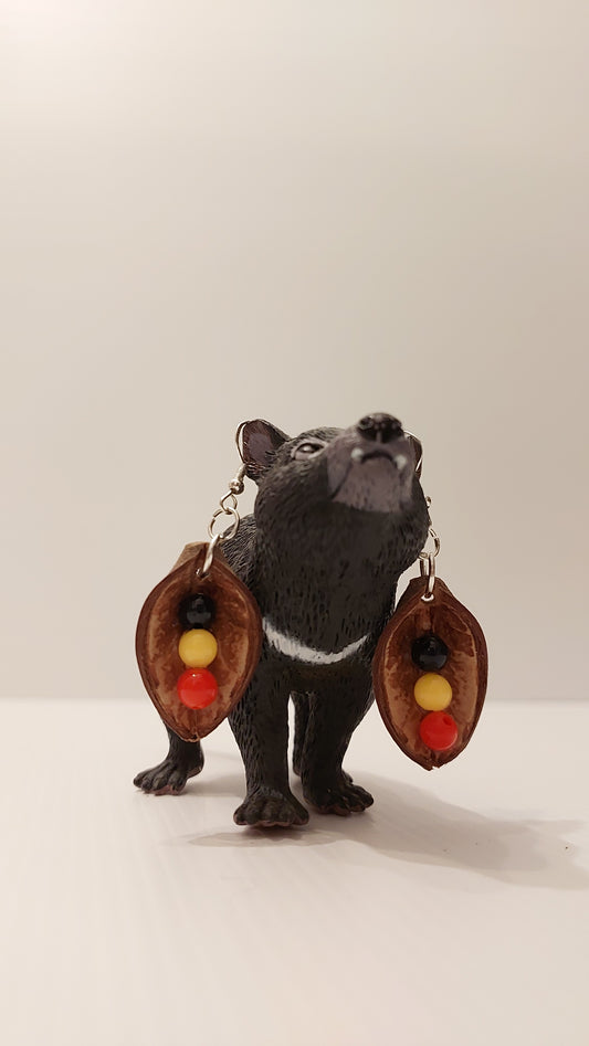 Kurrajong Seed Pod Earrings