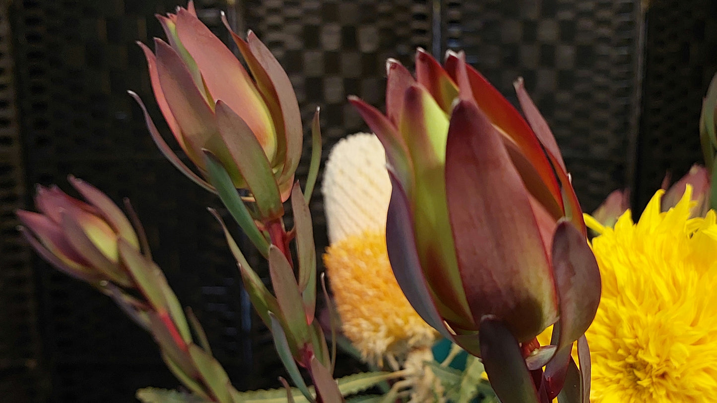 XL Australian Native Style Bouquet